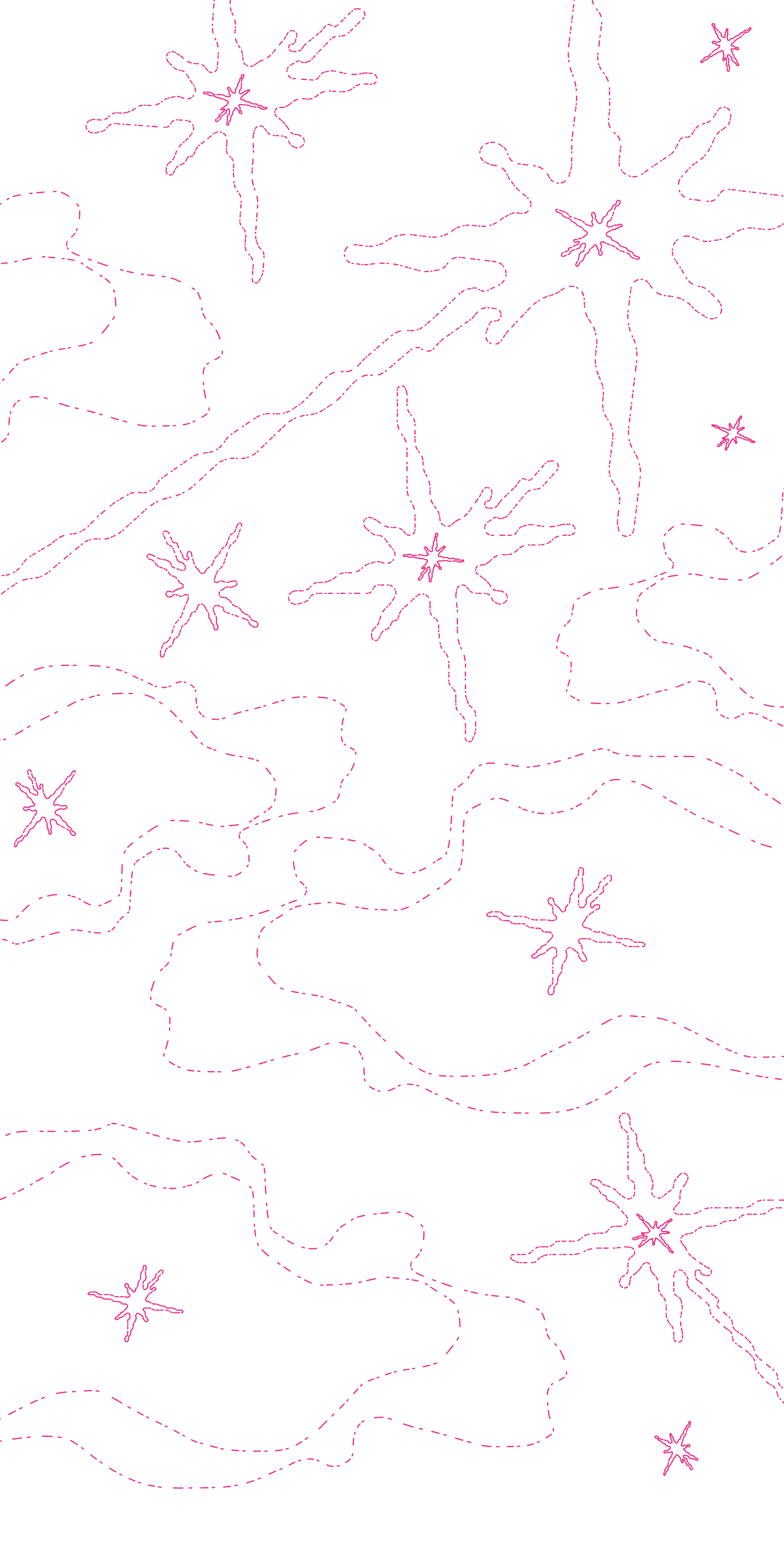 Graphics for Portfolio - Image 2