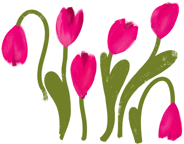 Tulips
